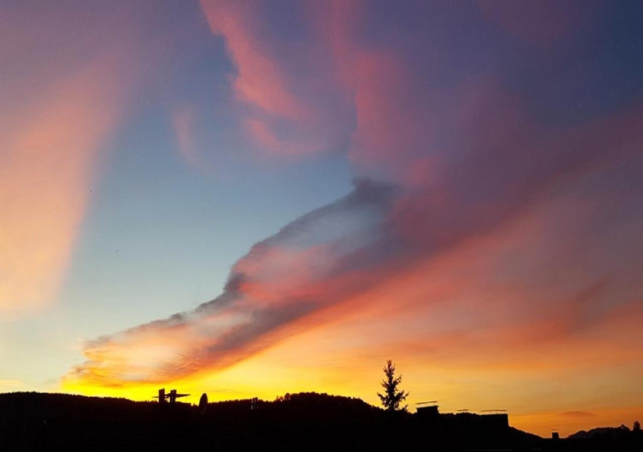 Hotel Suedhang Niedersfeld Dış mekan fotoğraf