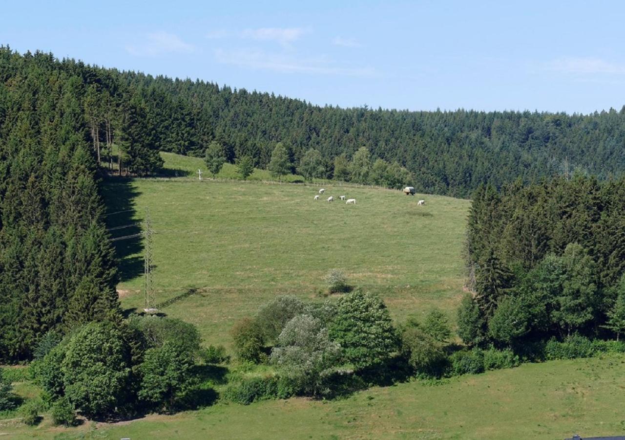 Hotel Suedhang Niedersfeld Dış mekan fotoğraf